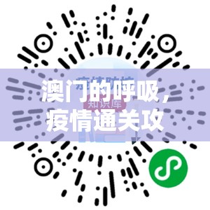 澳门的呼吸，疫情通关攻略背后的文化韧性密码