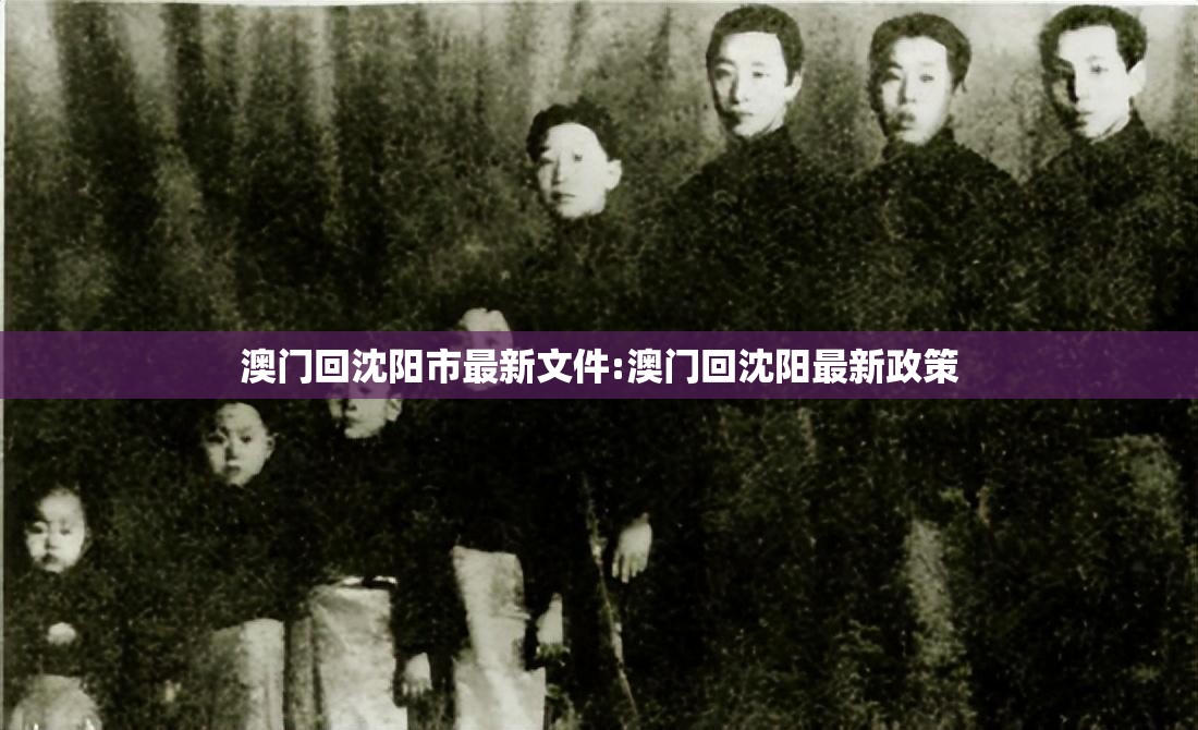澳门回沈阳市最新文件:澳门回沈阳最新政策