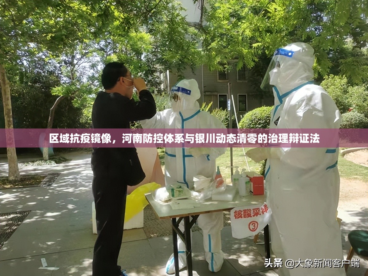 区域抗疫镜像，河南防控体系与银川动态清零的治理辩证法