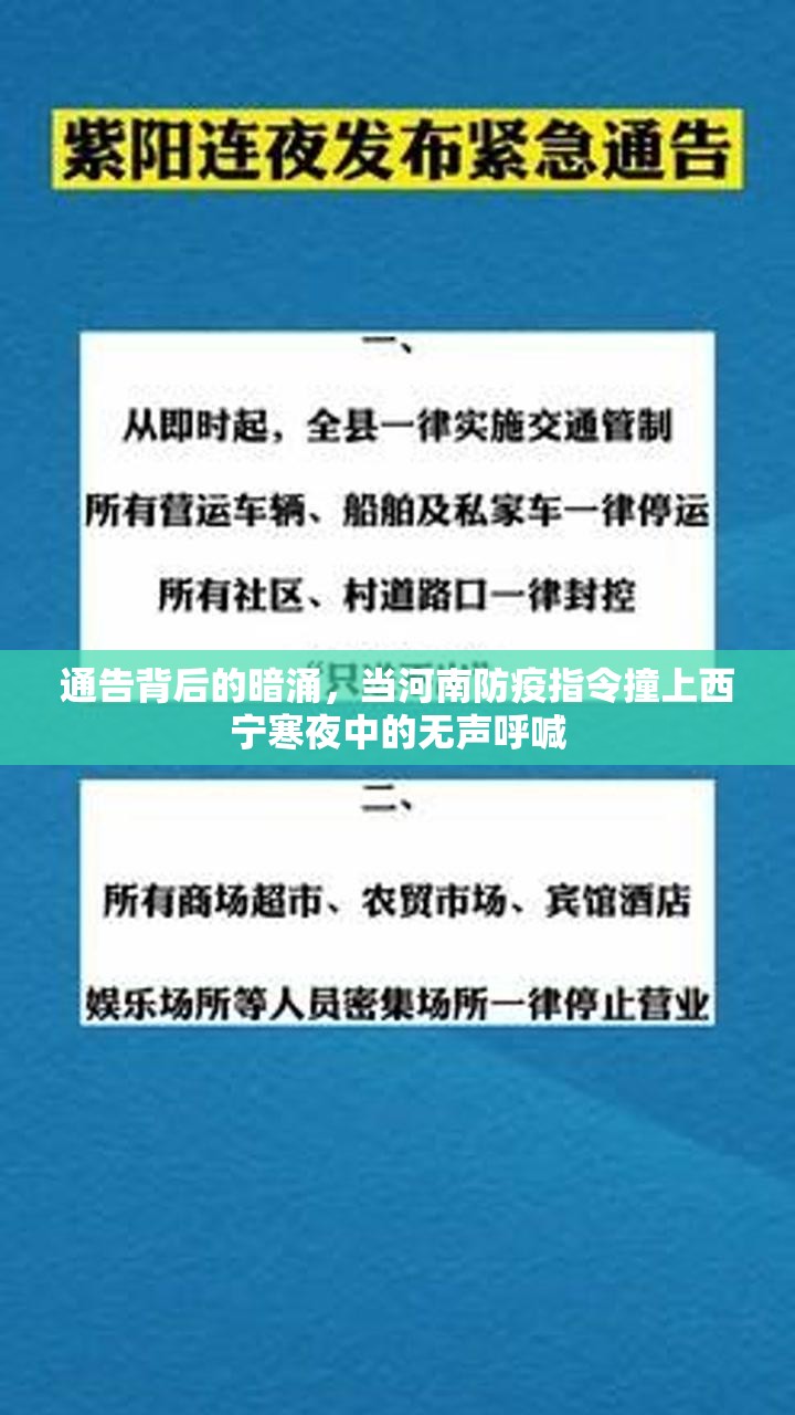 通告背后的暗涌，当河南防疫指令撞上西宁寒夜中的无声呼喊
