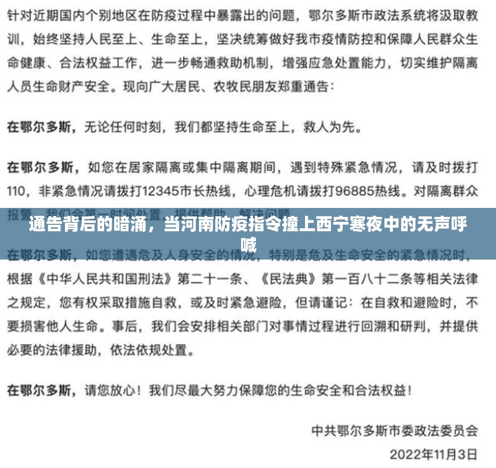通告背后的暗涌，当河南防疫指令撞上西宁寒夜中的无声呼喊