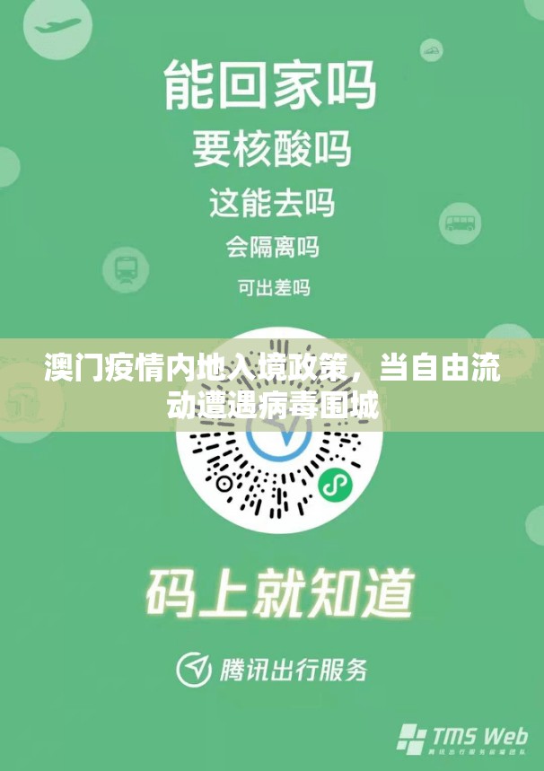 澳门疫情内地入境政策，当自由流动遭遇病毒围城