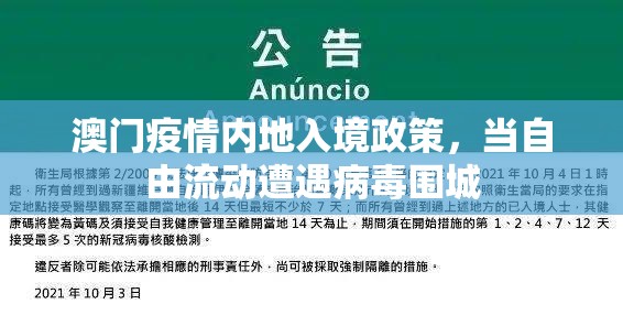 澳门疫情内地入境政策，当自由流动遭遇病毒围城