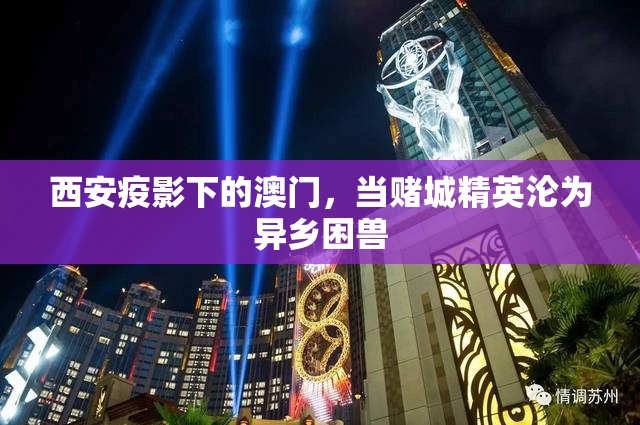 西安疫影下的澳门，当赌城精英沦为异乡困兽