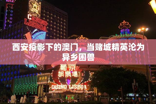 西安疫影下的澳门，当赌城精英沦为异乡困兽