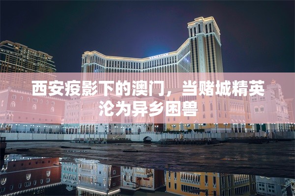 西安疫影下的澳门，当赌城精英沦为异乡困兽