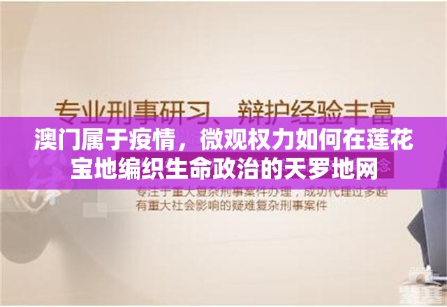 澳门属于疫情，微观权力如何在莲花宝地编织生命政治的天罗地网