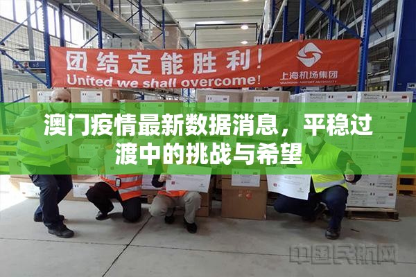 澳门疫情最新数据消息，平稳过渡中的挑战与希望