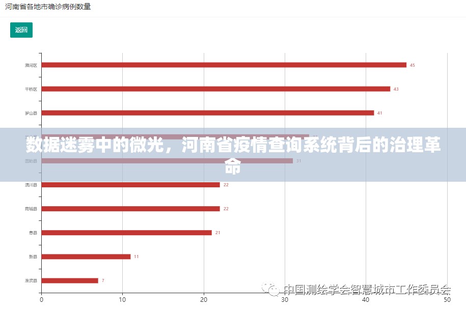 数据迷雾中的微光，河南省疫情查询系统背后的治理革命