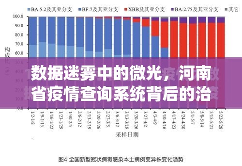 数据迷雾中的微光，河南省疫情查询系统背后的治理革命