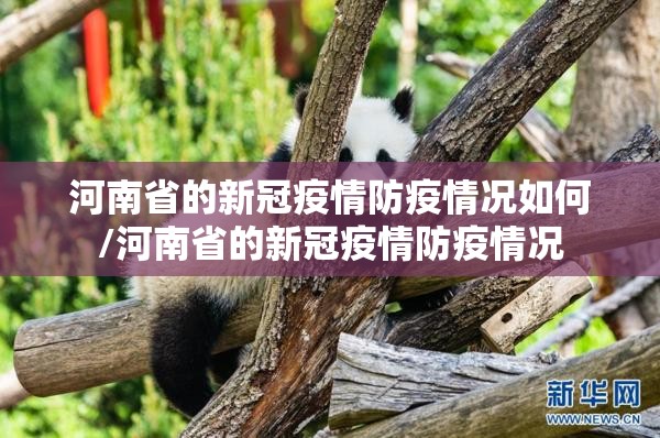 河南省的新冠疫情防疫情况如何/河南省的新冠疫情防疫情况