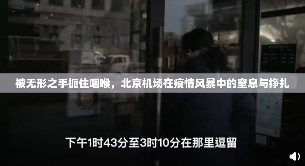 被无形之手扼住咽喉，北京机场在疫情风暴中的窒息与挣扎