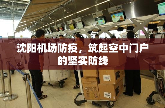 沈阳机场防疫，筑起空中门户的坚实防线