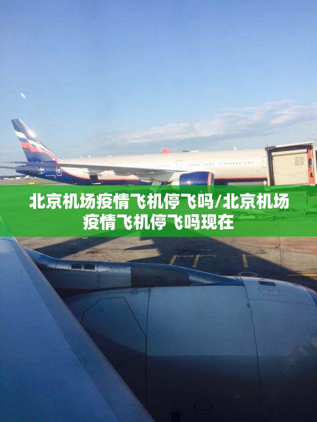 北京机场疫情飞机停飞吗/北京机场疫情飞机停飞吗现在