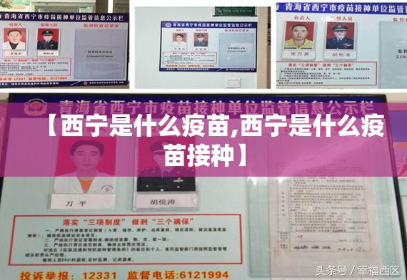 【西宁是什么疫苗,西宁是什么疫苗接种】