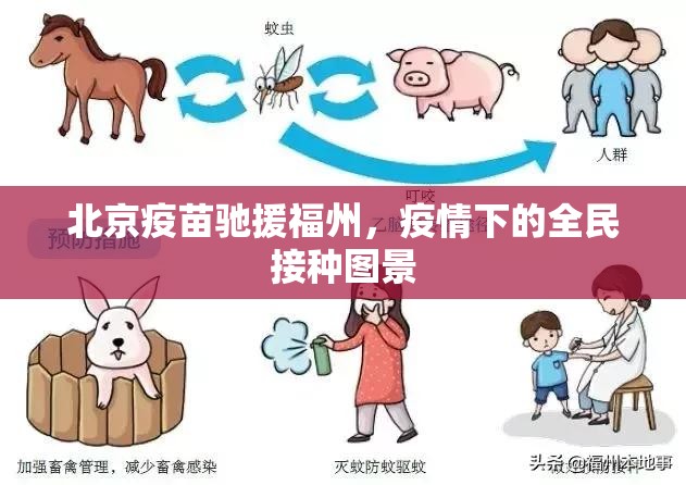 北京疫苗驰援福州，疫情下的全民接种图景