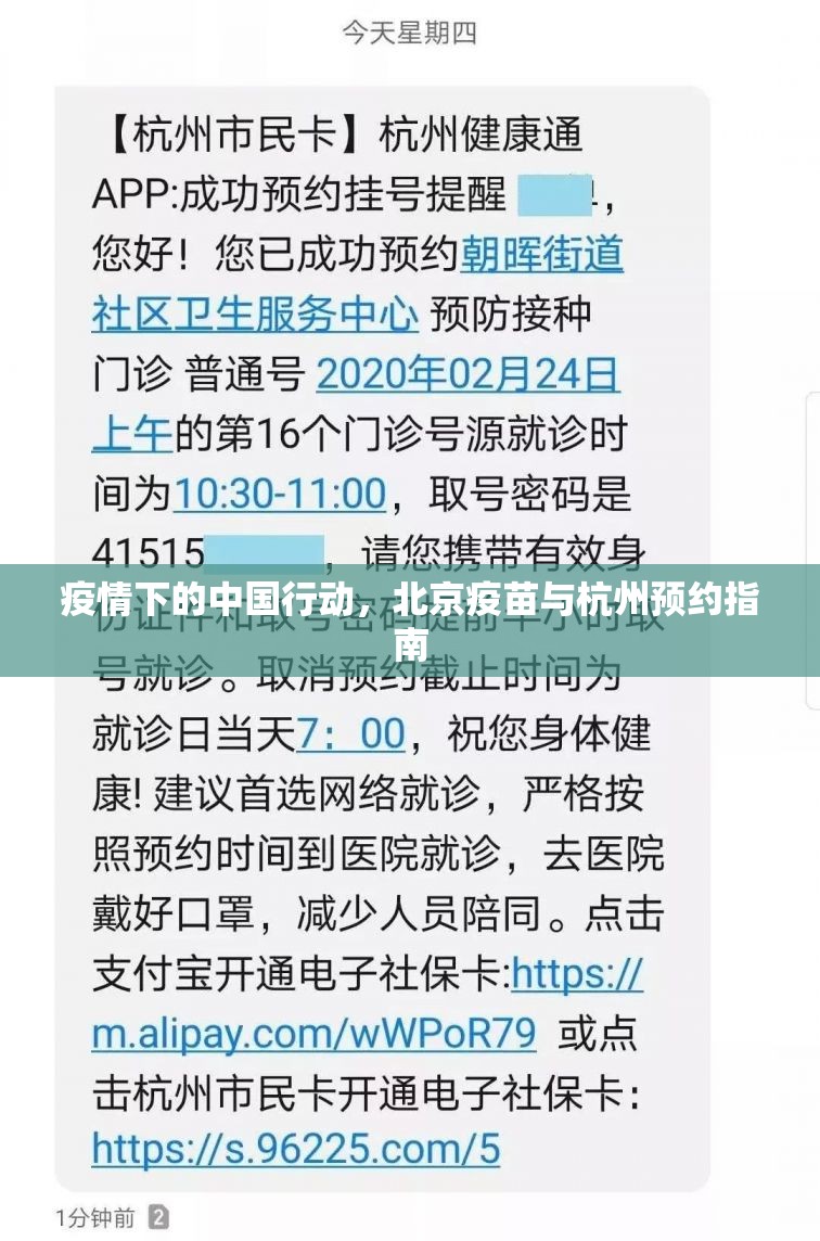 疫情下的中国行动，北京疫苗与杭州预约指南