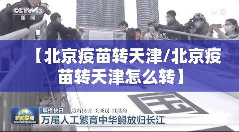 【北京疫苗转天津/北京疫苗转天津怎么转】