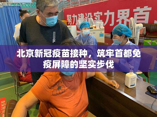 北京新冠疫苗接种，筑牢首都免疫屏障的坚实步伐