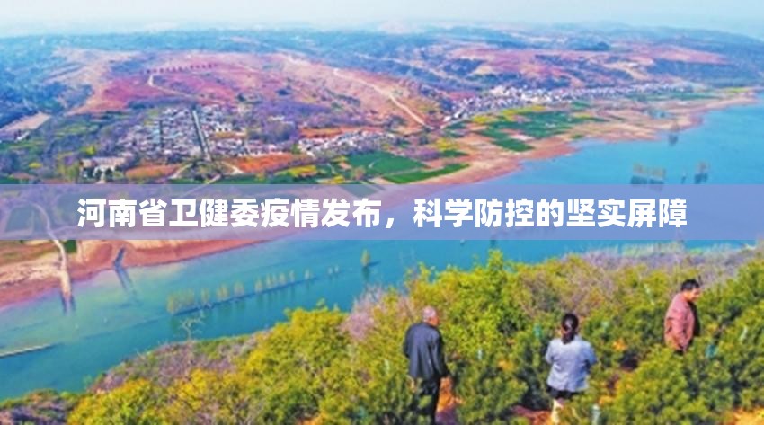 河南省卫健委疫情发布，科学防控的坚实屏障