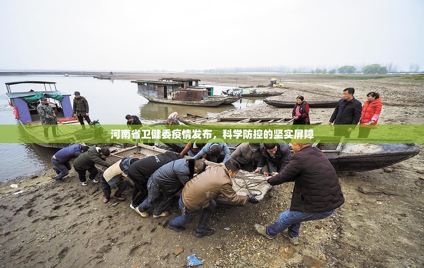 河南省卫健委疫情发布，科学防控的坚实屏障