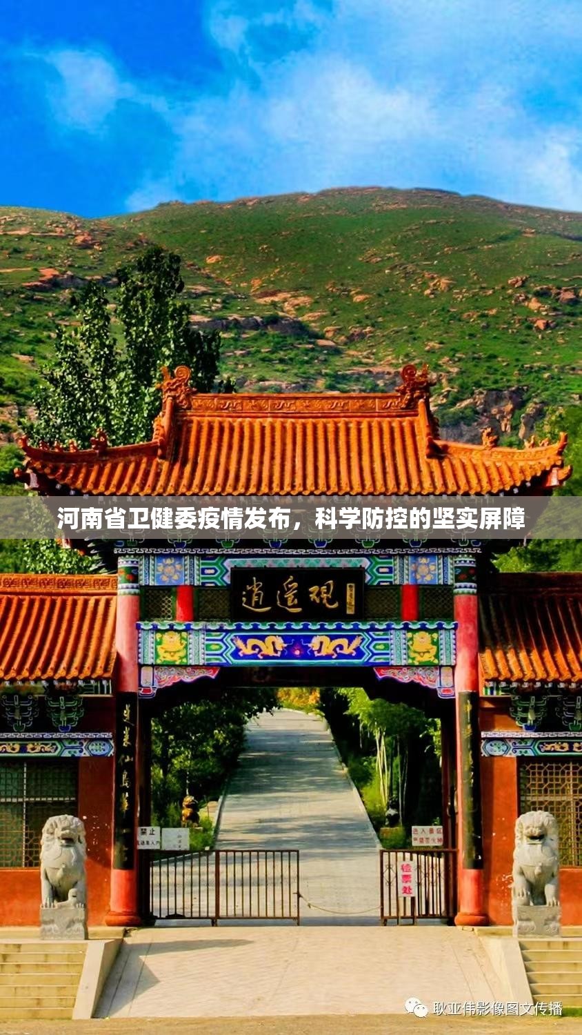 河南省卫健委疫情发布，科学防控的坚实屏障