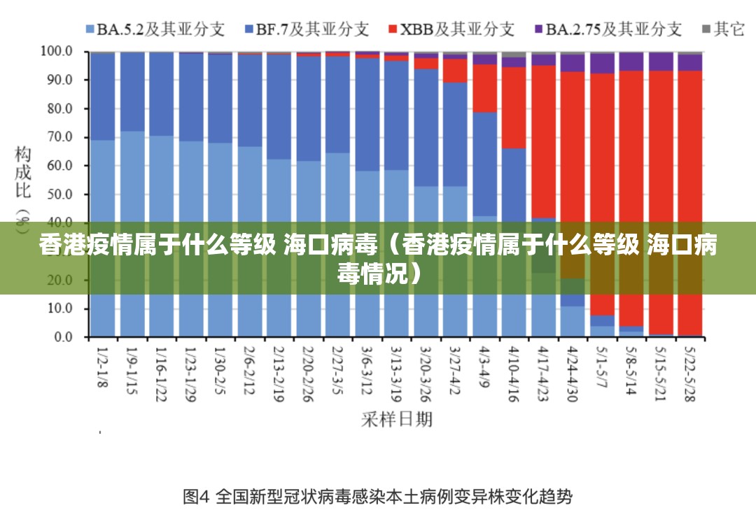 香港疫情属于什么等级 海口病毒（香港疫情属于什么等级 海口病毒情况）