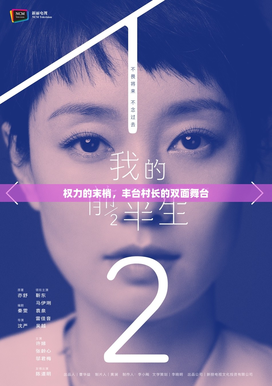 权力的末梢，丰台村长的双面舞台