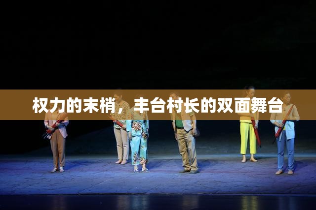 权力的末梢，丰台村长的双面舞台