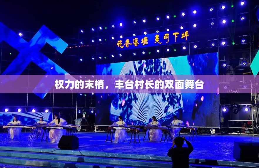 权力的末梢，丰台村长的双面舞台