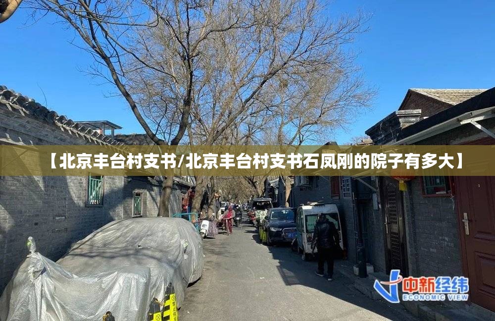 【北京丰台村支书/北京丰台村支书石凤刚的院子有多大】