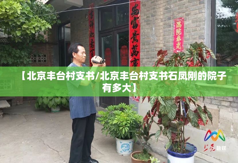 【北京丰台村支书/北京丰台村支书石凤刚的院子有多大】
