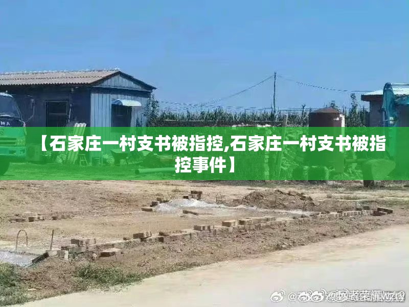 【石家庄一村支书被指控,石家庄一村支书被指控事件】