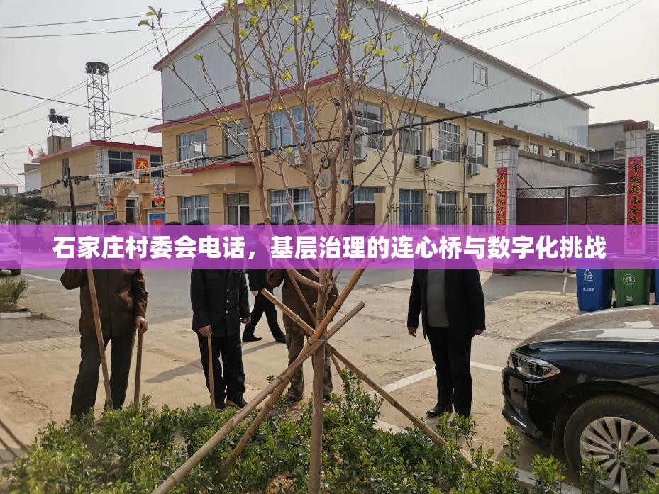 石家庄村委会电话，基层治理的连心桥与数字化挑战