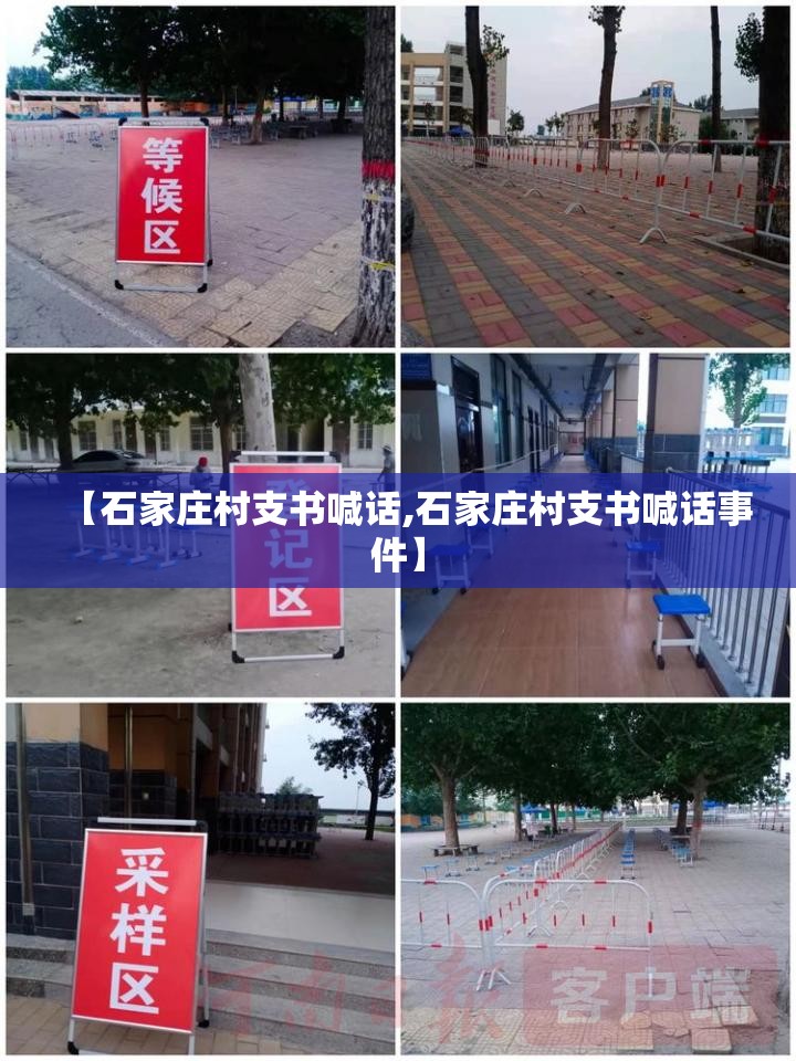 【石家庄村支书喊话,石家庄村支书喊话事件】