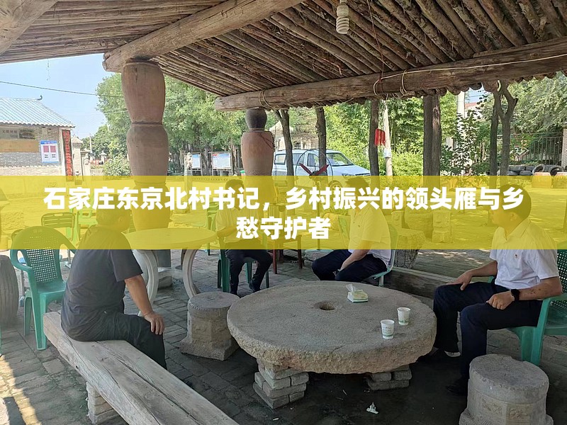 石家庄东京北村书记，乡村振兴的领头雁与乡愁守护者