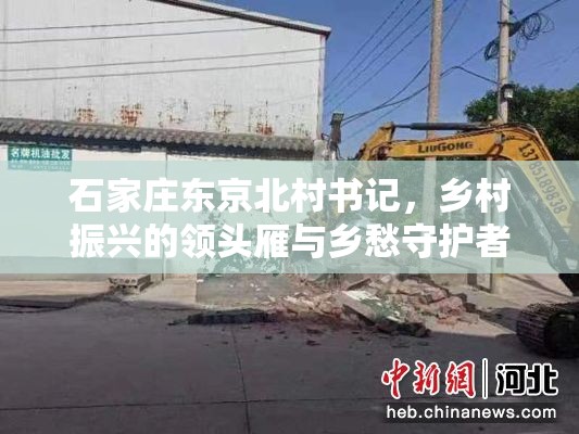 石家庄东京北村书记，乡村振兴的领头雁与乡愁守护者