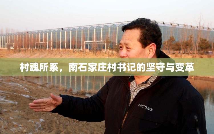村魂所系，南石家庄村书记的坚守与变革