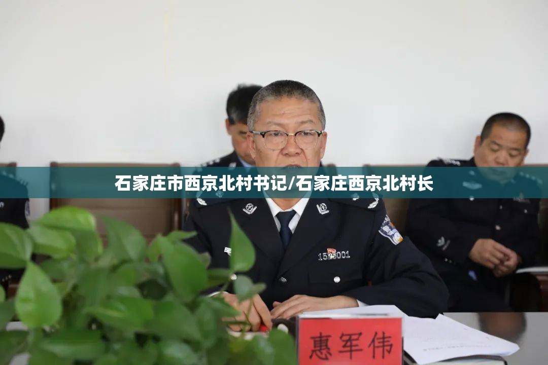 石家庄市西京北村书记/石家庄西京北村长