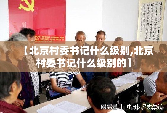 【北京村委书记什么级别,北京村委书记什么级别的】