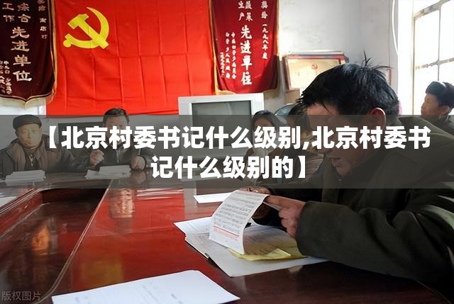 【北京村委书记什么级别,北京村委书记什么级别的】