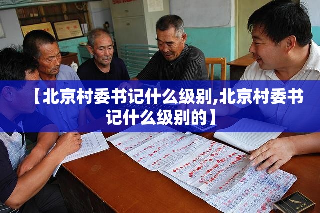 【北京村委书记什么级别,北京村委书记什么级别的】