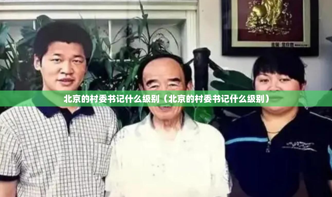 北京的村委书记什么级别（北京的村委书记什么级别）