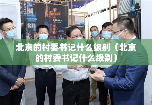 北京的村委书记什么级别（北京的村委书记什么级别）