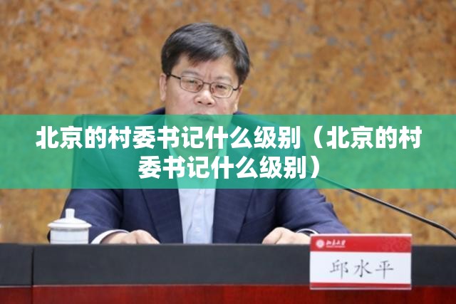 北京的村委书记什么级别（北京的村委书记什么级别）
