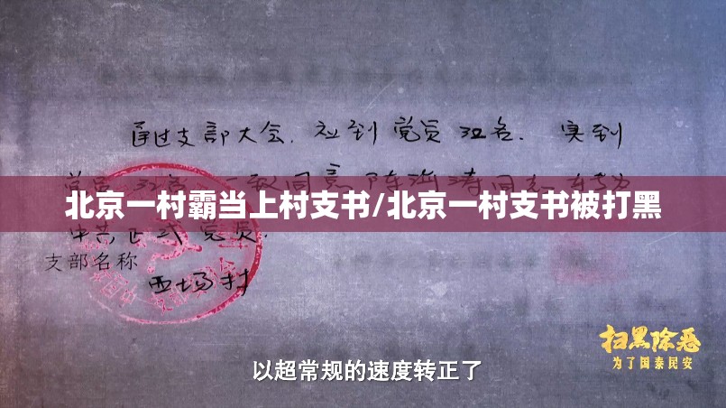 北京一村霸当上村支书/北京一村支书被打黑