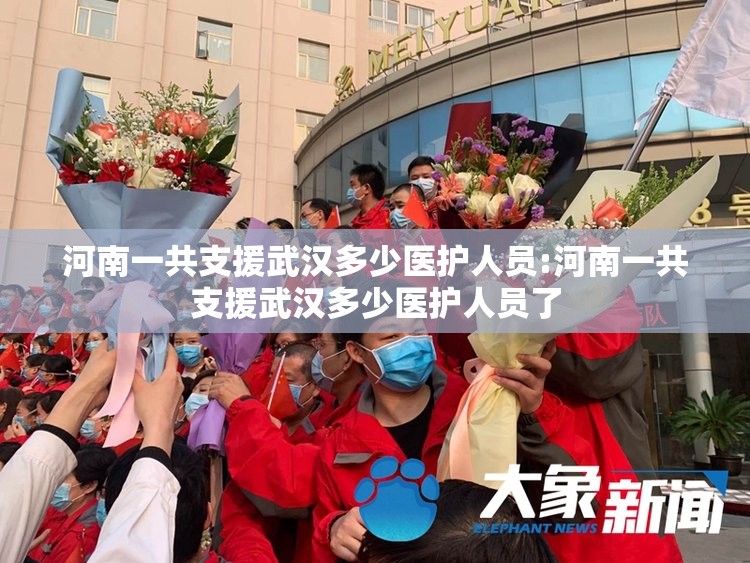 河南一共支援武汉多少医护人员:河南一共支援武汉多少医护人员了