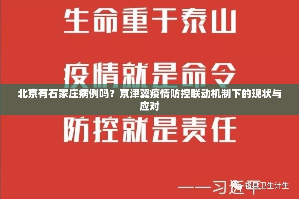 北京有石家庄病例吗？京津冀疫情防控联动机制下的现状与应对