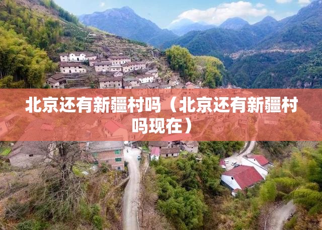 北京还有新疆村吗（北京还有新疆村吗现在）