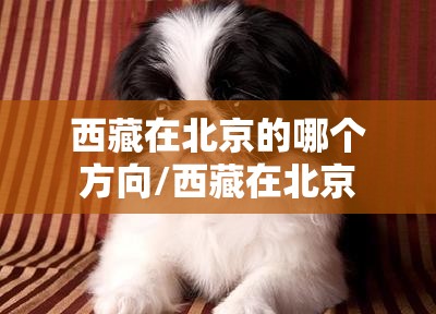西藏在北京的哪个方向/西藏在北京